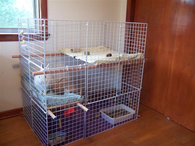 Indoor Rabbit Cages